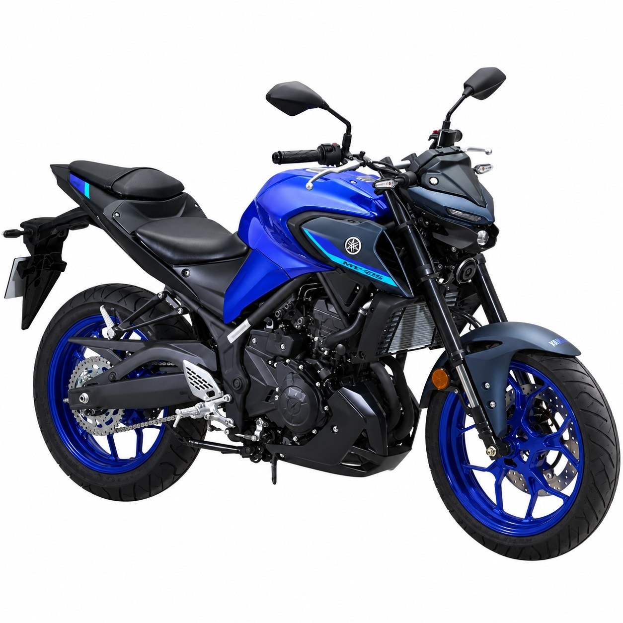Mt25